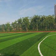 <b>海南三亚湿地公园人造草足球场验收中！</b>