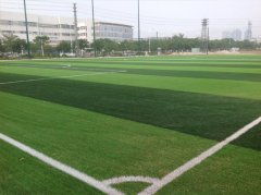 足球场人造草——广东伊之密体育公园
